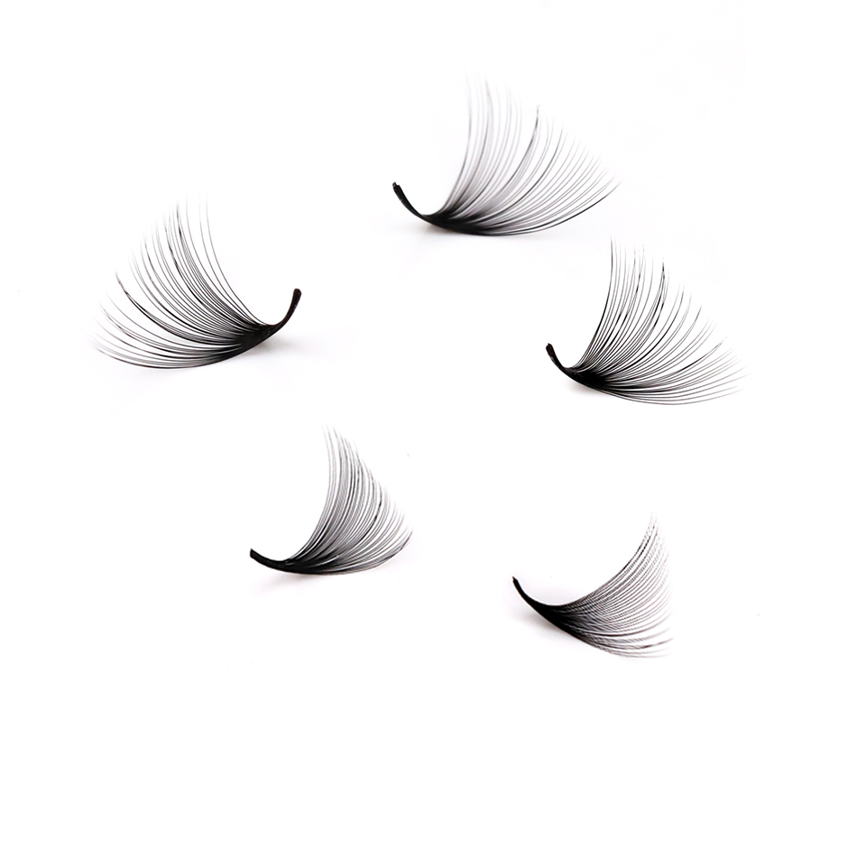 Lashprofessor XL Tray 3D 4D 5D - Eyelash Extension Mega Volume ulasan dan harga